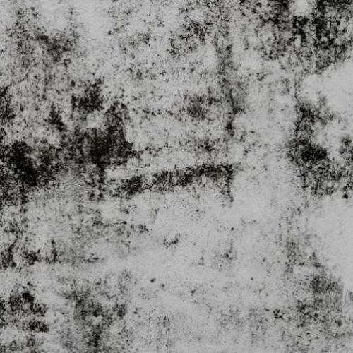 Uncover the problem of damp in your home and how mould and bacteria can harm your health.